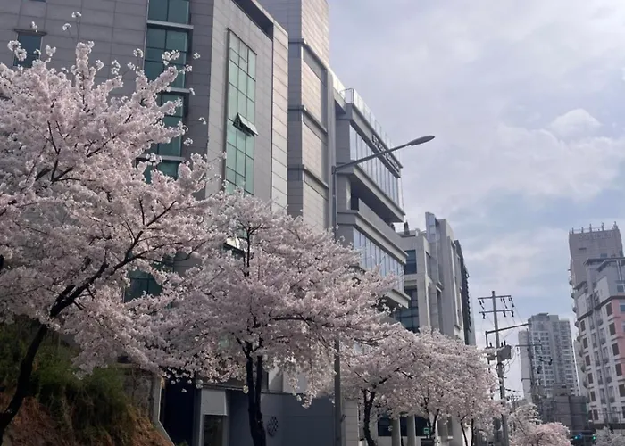 풀하우스 한강 203호 #무료주차 #무료와이파이 ヴィラ *